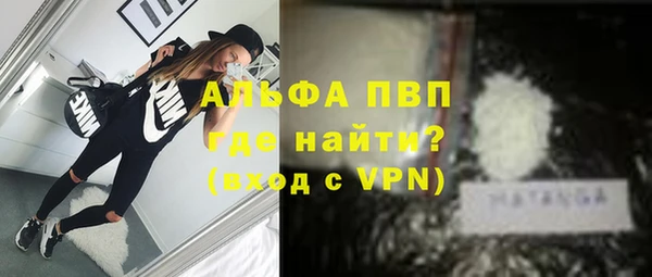 мдпв Пестово