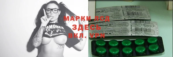 шишки Пересвет
