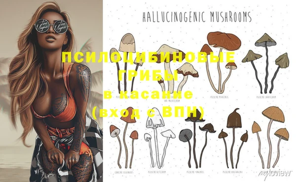 MESCALINE Абаза