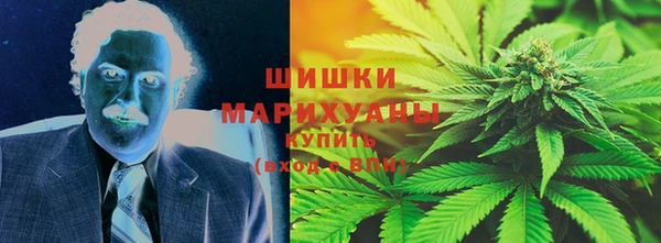 шишки Пересвет