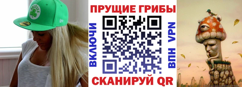 Псилоцибиновые грибы MAGIC MUSHROOMS наркошоп Приволжск
